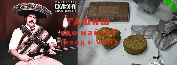 прущие грибы Новозыбков