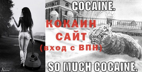 прущие грибы Новозыбков