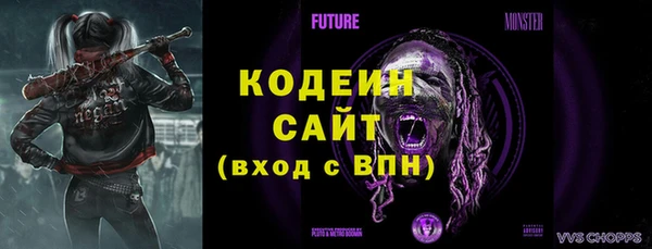 прущие грибы Новозыбков