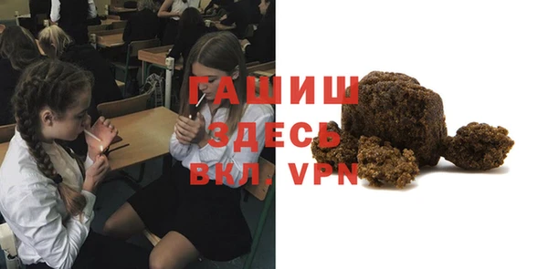 прущие грибы Новозыбков
