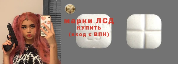 прущие грибы Новозыбков