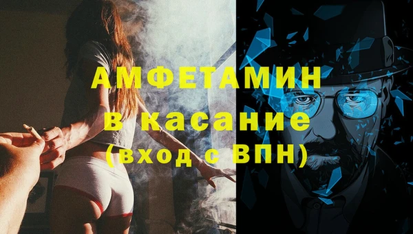 прущие грибы Новозыбков