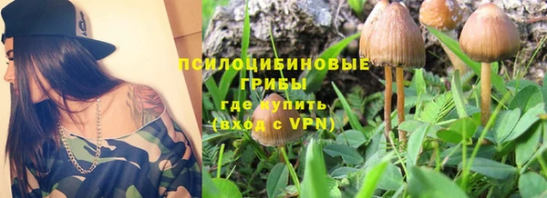 Альфа ПВП Новодвинск