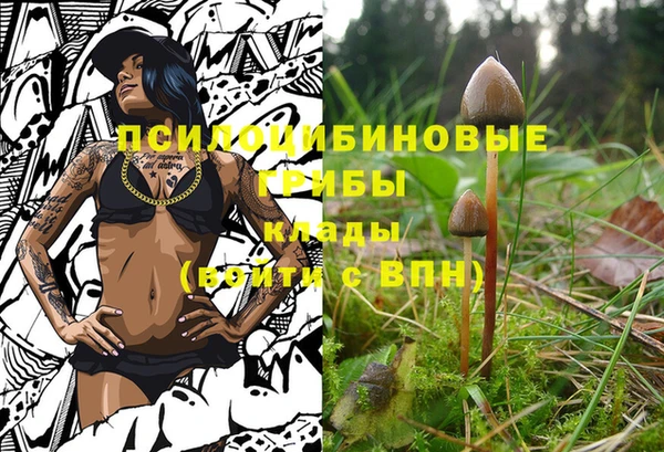 кокаин премиум Няндома