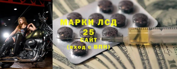 прущие грибы Новозыбков