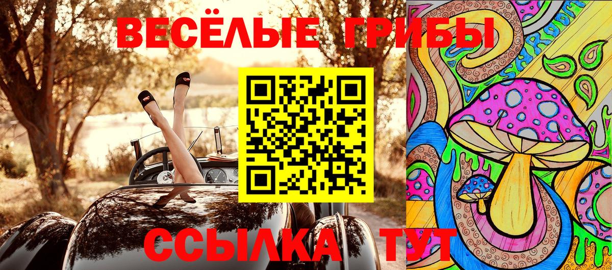 Псилоцибиновые грибы ЛСД  где купить   Новокубанск 