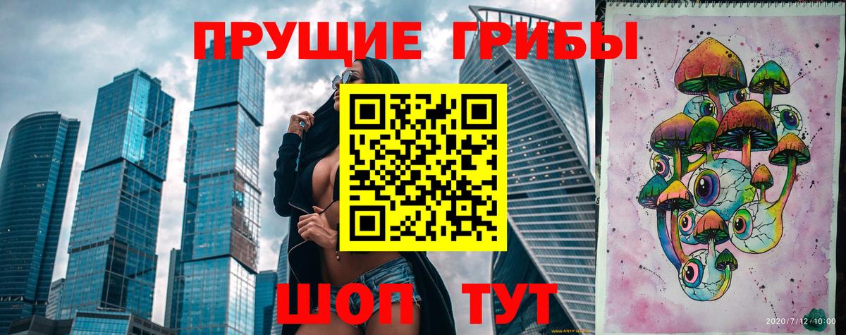закладка  Псилоцибиновые грибы ЛСД  Вход с VPN  Псилоцибиновые грибы MAGIC MUSHROOMS  Новокубанск 